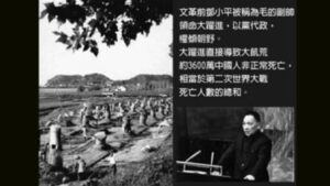 骗了几代人的谎言 毛时代中国的经济真相-1984bbs
