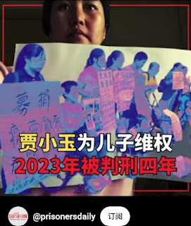 图片[2]-获刑4年的疫苗受害者家属、人权捍卫者贾小玉女士的案情及简历-1984bbs