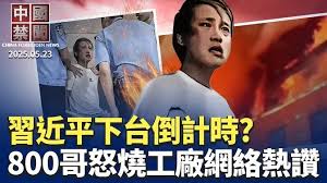 【禁闻】“800哥”怒烧工厂 网民：他是英雄-1984bbs