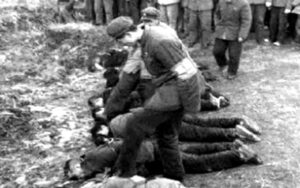 她最早嗅到了“文革”的法西斯气息-1984bbs