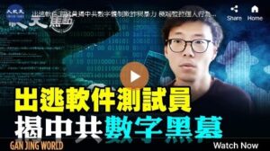 【纪元焦点】出逃软件测试员 揭中共数字黑幕-1984bbs