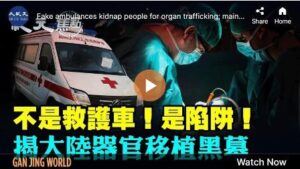【纪元焦点】假救护车设陷阱 大陆器官移植黑幕-1984bbs