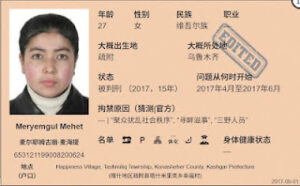获刑14年11个月的新疆喀什维吾尔公民麦尔耶姆古丽·麦海提女士的案情及简历-1984bbs
