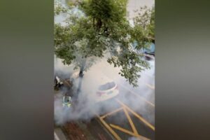 广东基孔肯雅热扩散 官方防疫措施引质疑-1984bbs