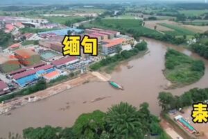 被诱骗至缅甸 陕西孕妇获救表哥仍失联-1984bbs