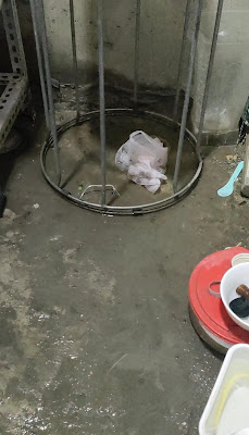 图片[2]-七旬北京维权军嫂国俪堃酷暑季节在海军的豆腐渣工程毛坯房里经受“水深火热”-1984bbs