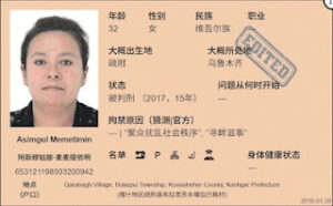 获刑14年11个月的新疆喀什疏附县布拉克苏乡喀拉巴格村公民阿斯穆姑丽·麦麦提依明女士的案情及简历-1984bbs
