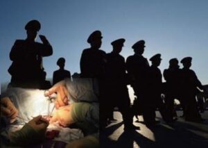 历史疤痕--看中共如何杀人-1984bbs