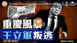 【百年真相】重庆风暴 王立军出逃-1984bbs