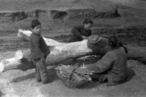 中共罪行录：“大跃进”江苏浮肿病流行-1984bbs