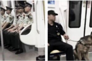 分析：中共“抗战叙事”难以向世界兜售-1984bbs