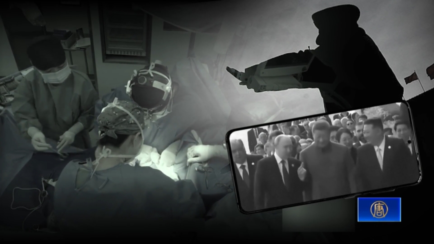 科技与器官移植能成为通往永生的途径吗？-1984bbs