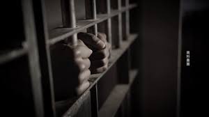 【禁闻】报告：中共法院成打压人权工具-1984bbs