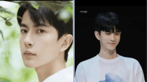 除了于朦胧 还有多少明星名下注册军火商标？-1984bbs