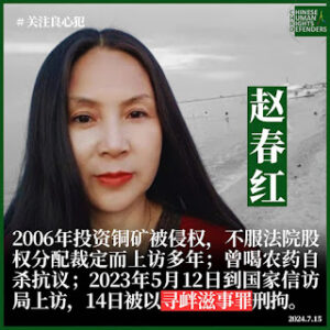获刑4年的河北维权人士赵春红女士的案情及简历-1984bbs