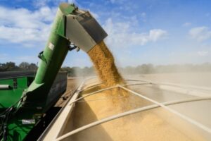 川习会后 中方开始购买美国农产品-1984bbs