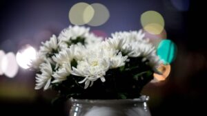 罗点点做穿刺窒息而死 传罗瑞卿死在手术台-1984bbs