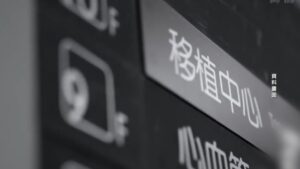 医生揭器官移植惊人内情：必须是活的-1984bbs