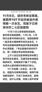 荷兰回国被捕留学生胡洋羁押107天后于2025年11月8日第一次获律师会见-1984bbs