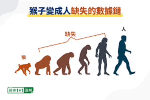 进化论不可逾越的三道“雷池”-1984bbs