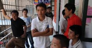 中国经济乌云笼罩“老鼠人”现象背后的青年困境-1984bbs