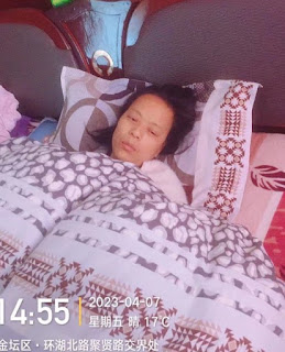 杨彩英：请公众关注与见证——中共当局以纳粹手段正在残害我家3条人命！-1984bbs