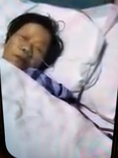 图片[3]-杨彩英：请公众关注与见证——中共当局以纳粹手段正在残害我家3条人命！-1984bbs