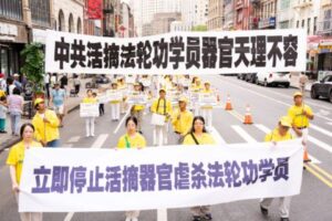 制止活摘是国际社会无法回避的责任-1984bbs