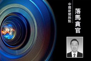 习特使唐仁健贪腐内幕 古玩商成其“白手套”-1984bbs