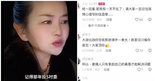 举报村官被关被电击被喂药 刘凤兰:做好破釜沉舟打算-1984bbs