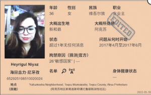 获刑8年的维吾尔族女商人海日古丽·尼牙孜的案情及简历-1984bbs
